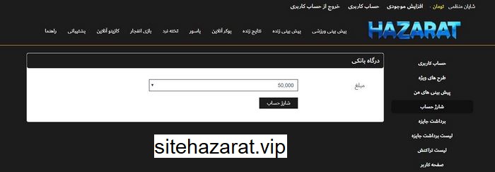 hazarat account charging 4 - آموزش شارژ حساب حضرات بت پویان مختاری همراه با عکس